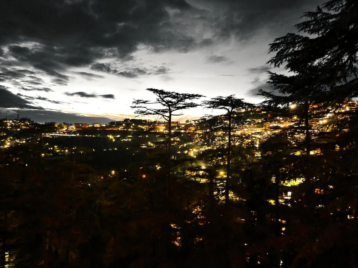 Magic Stays - Shimla Royale - Free Pickup From Railway Station Шимла Экстерьер фото